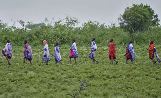 Children of the Maasai tribe walk around an open field, during the Enkipaata ceremony, a Maasai male rite of passage, specifically the initiation of boys, marking the transition from childhood to becoming a moran (warrior) in Olaimutiai, Narok County, Kenya Thursday, April 24, 2024. (AP Photo/Brian Inganga)