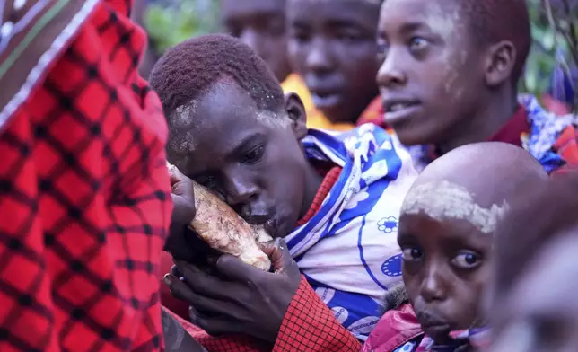 Children of the Maasai tribe are fed meat, during the Enkipaata ceremony, a Maasai male rite of passage, specifically the initiation of boys, marking the transition from childhood to becoming a moran (warrior) in Olaimutiai, Narok County, Kenya Wednesday, April 23, 2024. (AP Photo/Brian Inganga)
