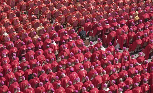 Clergy attend the funeral of Pope Francis in St. Peter's Square at the Vatican, Saturday, April 26, 2025. (AP Photo/Markus Schreiber)