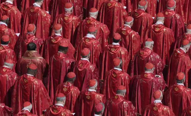 Clergy during the funeral of Pope Francis in St. Peter's Square at the Vatican, Saturday, April 26, 2025. (AP Photo/Markus Schreiber)