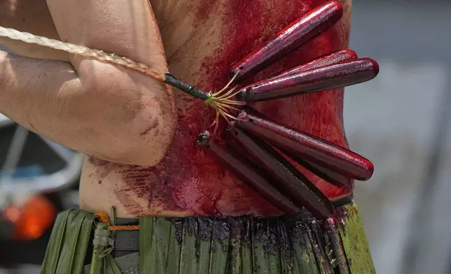A penitent flagellates himself on Good Friday in Kalayaan town, Laguna province, Philippines, April 18, 2025. (AP Photo/Aaron Favila)