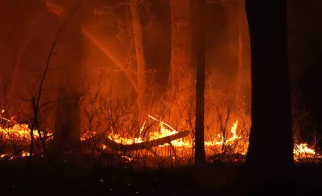 A fire burns on Tuesday, April 22, 2025, near Waretown, N.J. (AP Photo/Chris Szagola)