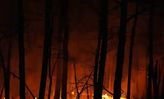 A fire burns on Tuesday, April 22, 2025, near Waretown, N.J. (AP Photo/Chris Szagola)