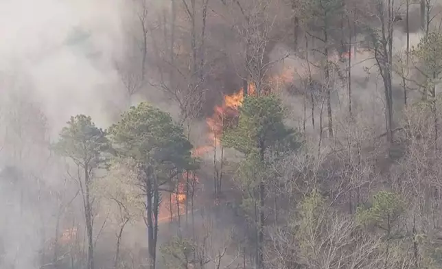 Smoke fills the air from a wildfire in Ocean County, N.J. on Thursday, April 24, 2025. (WPVI-TV via AP)