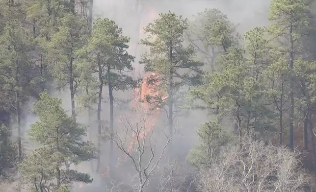 Smoke fills the air from a wildfire in Ocean County, N.J. on Thursday, April 24, 2025. (WPVI-TV via AP)