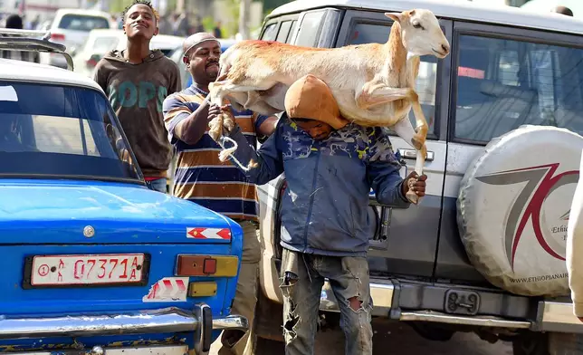 A trader carries a goat to sell in a street market a day before Ethiopian Orthodox Christians celebrate Easter Sunday in Addis Ababa, Ethiopia Saturday, April 19, 2025. (AP Photo)