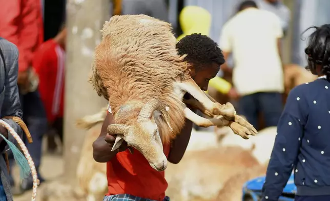 A trader carries a sheep to sell in a street market a day before Ethiopian Orthodox Christians celebrate Easter Sunday in Addis Ababa, Ethiopia Saturday, April 19, 2025. (AP Photo)