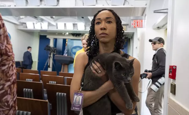 Sophie, a cat that wandered onto the White House grounds, is held by Francesca Chambers, White House Correspondent for USA Today, in the White House, Friday, April 18, 2025, in Washington. The feline’s owner was called and went to pick it up. (AP Photo/Alex Brandon)