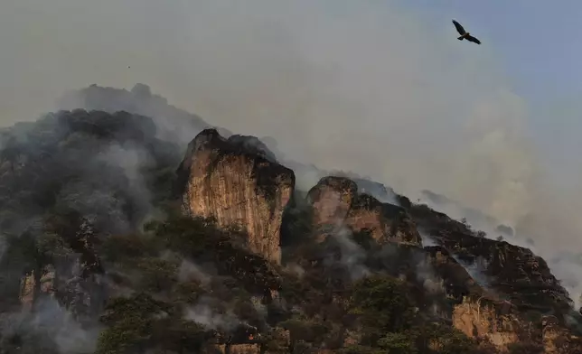 Smoke rises from wildfires outside of Amatlan, Mexico, Tuesday, April 15, 2025. (AP Photo/Fernando Llano)