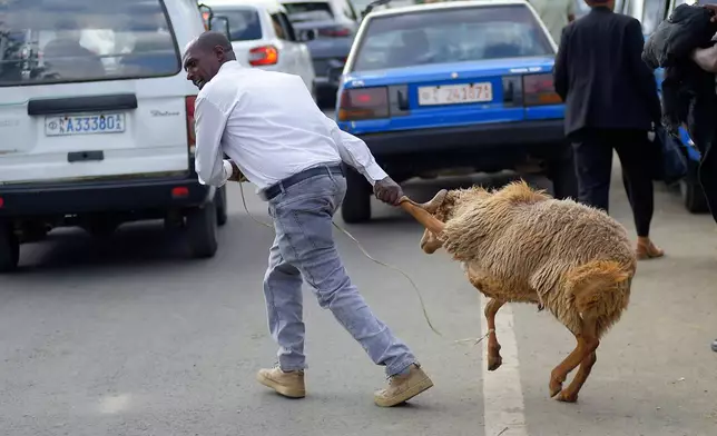 A trader pulls a sheep to sell in a street market a day before Ethiopian Orthodox Christians celebrate Easter Sunday,in Addis Ababa, Ethiopia Saturday, April 19, 2025. (AP Photo)