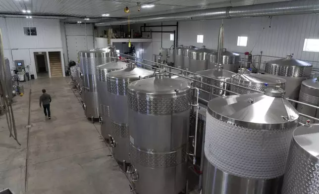 Head winemaker Craig Hosbach walks past rows of wine tanks at Fox Run Vineyards on Friday, March 21, 2025, in Penn Yan, N.Y. (Natasha Kaiser via AP)