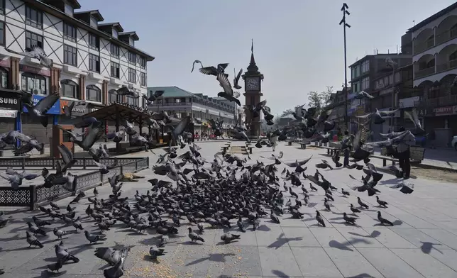 Pigeons fly in the city centre during a shut down after tourists were killed, in Srinagar, Indian controlled Kashmir, Wednesday, April. 23, 2025. (AP Photo/Mukhtar Khan)