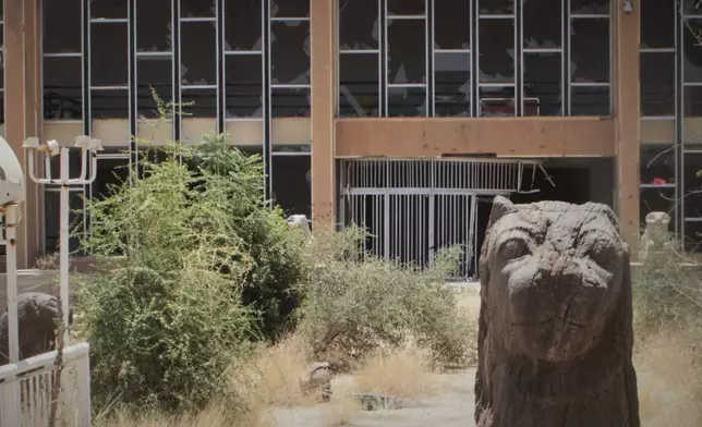 A Meroitic lion statue is seen in the garden of Sudan National Museum, the home to the country's largest artifacts that date to different eras of Sudanese history, after nearly two years of war between the army and paramilitary Rapid Support Forces (RSF), in Khartoum, Sudan, Thursday, April 3, 2025. (AP Photo/Khaled Abd Al Gader)