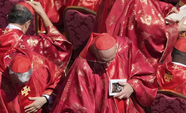 Clergy attend the funeral of Pope Francis in St. Peter's Square at the Vatican, Saturday, April 26, 2025. (AP Photo/Markus Schreiber)