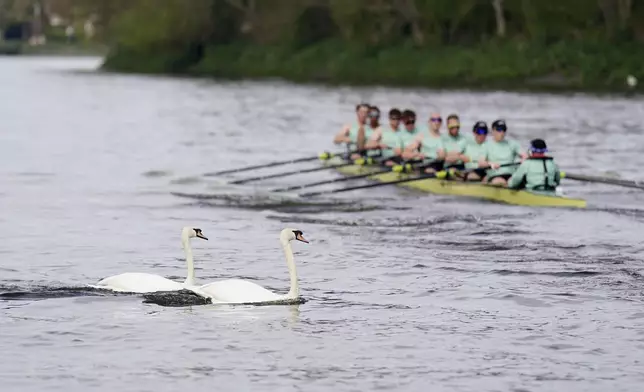 The Cambridge University Men's Boat Team during a training session on the River Thames in London, Tuesday, April 8, 2025. (Zac Goodwin/PA via AP)