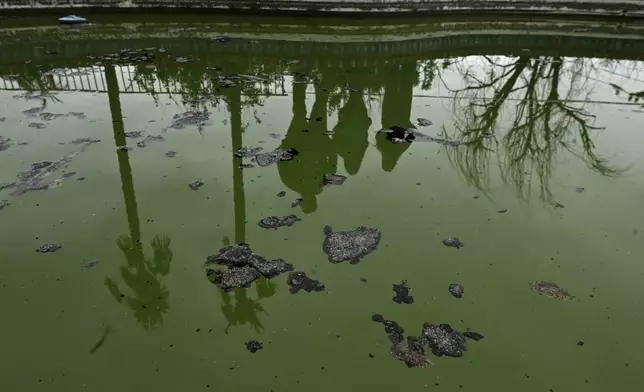 The McNett family are reflected in a pool with debris as they visit there house that burned in the Mountain Fire Wednesday, April 16, 2025, in Camarillo, Calif. (AP Photo/Wally Skalij)