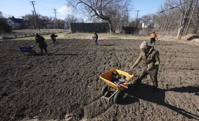 Andrew "Birch" Kemp helps clear debris from a Arboretum Detroit planting site in Detroit, Friday, March 21, 2025. (AP Photo/Paul Sancya)
