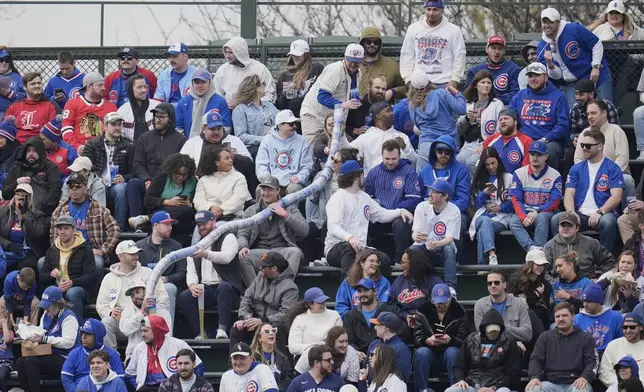 Fans stack cups during the fifth inning of a baseball game between the Arizona Diamondbacks and the Chicago Cubs, Saturday, April 19, 2025, in Chicago. (AP Photo/Erin Hooley)