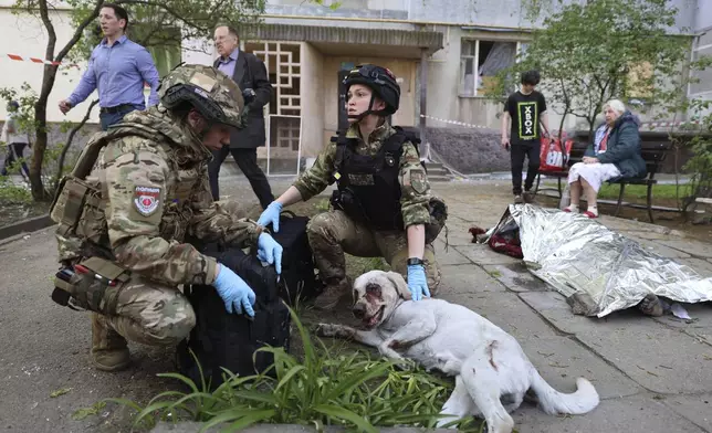 Police officers calm an injured dog while a dead body lies near a multi-story building damaged by a Russian strike on a residential neighborhood in Zaporizhzhia, Ukraine, on Tuesday, April 22, 2025. (AP Photo/Kateryna Klochko)