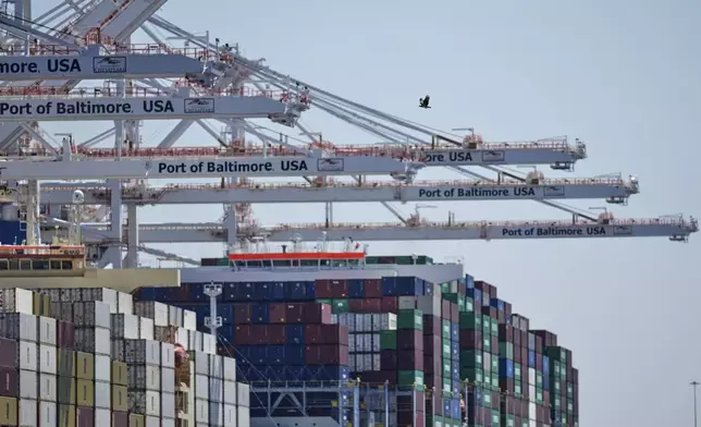 A bird flies near the container ships Epaminondas and Talos while they are docked at the Port of Baltimore, Wednesday, April 9, 2025, in Baltimore. (AP Photo/Stephanie Scarbrough)
