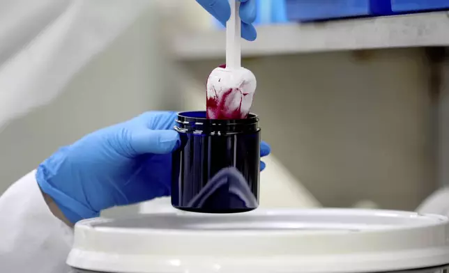 Technician Heather Browning packages a color sample made of beet powder for a customer at Sensient Technologies Corp., a color additive manufacturing company, in St. Louis., on Wednesday, April 2, 2025. (AP Photo/Jeff Roberson)
