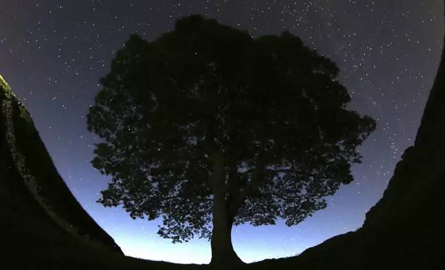 FILE - A general view of the stars above Sycamore Gap prior to the Perseid Meteor Shower above Hadrian's Wall near Bardon Mill, England, Wednesday, Aug. 12, 2015. (AP Photo/Scott Heppell, File)