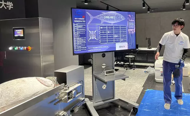 The special machine shown by Fujitsu relays the results of the sound waves beamed on a tuna fish to assess its fattiness shows up on the screen at a Fujitsu facility in Kawasaki, Japan Wednesday, April 9, 2025. (AP Photo/Yuri Kageyama)