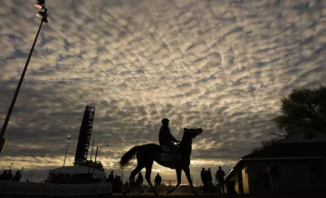A horse comes off the track after a workout at Churchill Downs Monday, April 28, 2025, in Louisville, Ky. (AP Photo/Charlie Riedel)