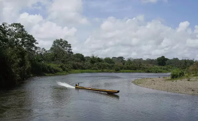 A boat navigates the Tuquesa River near Villa Caleta, a community in Panama that used to benefit economically by being on the route migrants took after crossing the Darien Gap on their way north to the U.S., Monday, April 7, 2025. (AP Photo/Matias Delacroix)
