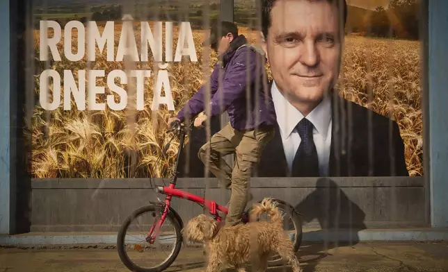 A man and a dog pass by posters of Nicusor Dan, the mayor of Bucharest and presidential candidate in the upcoming May elections in Bucharest, Romania, Friday, March 28, 2025. (AP Photo/Vadim Ghirda)