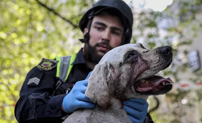 A police officer calms an injured dog near a multi-storey building damaged by a Russian strike on residential neighbourhood in Zaporizhzhia, Ukraine, on Tuesday, April 22, 2025. (AP Photo/Kateryna Klochko)