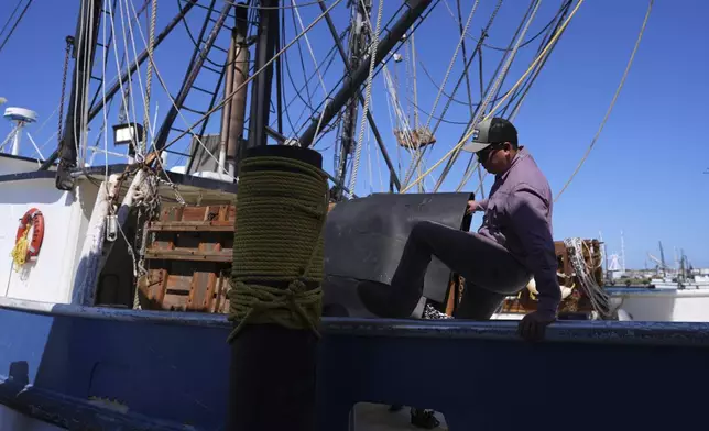 Ken Garcia, manager of Quality Seafood, jumps off of a friend's shrimp[p boat, Wednesday, April 9, 2025, in Palacios, Texas. (AP Photo/Eric Gay)