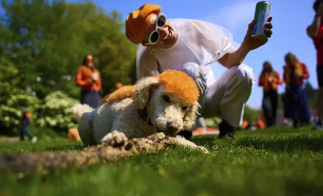 A woman poses with Lucy who has her hair painted orange as people celebrate King's Day in Amsterdam, Netherlands, Saturday, April 26, 2025. (AP Photo/Peter Dejong)