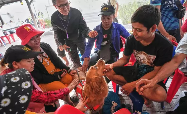 K9 named Lek, center, works as an emotional support with relatives of workers of a high-rise building under construction that collapsed after Friday's earthquake in Bangkok, Thailand, Tuesday, April 1, 2025. (AP Photo/Sakchai Lalit)