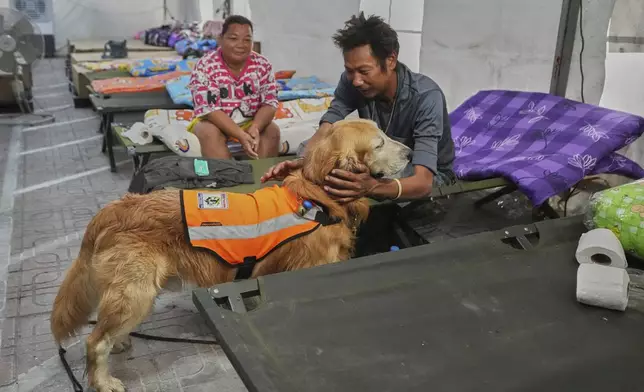 K9 named Safari works as an emotional support with relatives of workers of a high-rise building under construction that collapsed in Bangkok, Thailand, Monday, March 31, 2025. (AP Photo/Sakchai Lalit)