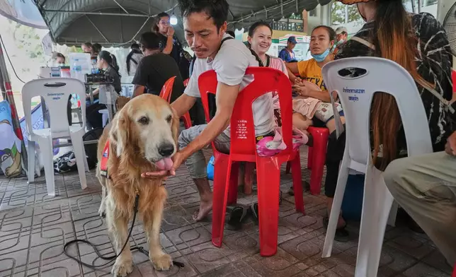 K9 named Safari works as an emotional support with relatives of workers of a high-rise building under construction that collapsed after Friday's earthquake in Bangkok, Thailand, Tuesday, April 1, 2025. (AP Photo/Sakchai Lalit)