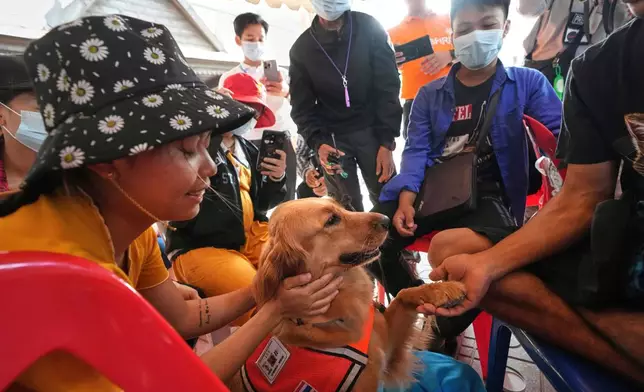 K9 named Lek works as an emotional support with relatives of workers of a high-rise building under construction that collapsed after Friday's earthquake in Bangkok, Thailand, Tuesday, April 1, 2025. (AP Photo/Sakchai Lalit)
