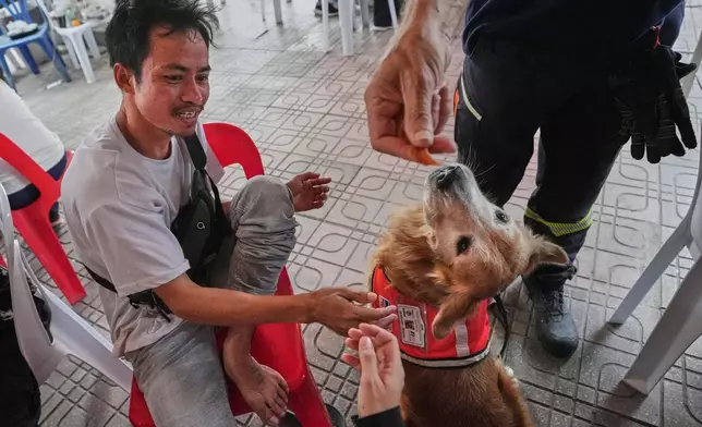 K9 named Safari works as an emotional support with relatives of workers of a high-rise building under construction that collapsed after Friday's earthquake in Bangkok, Thailand, Tuesday, April 1, 2025. (AP Photo/Sakchai Lalit)