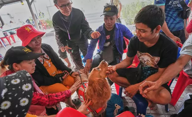 K9 named Lek, center, works as an emotional support with relatives of workers of a high-rise building under construction that collapsed after Friday's earthquake in Bangkok, Thailand, Tuesday, April 1, 2025. (AP Photo/Sakchai Lalit)