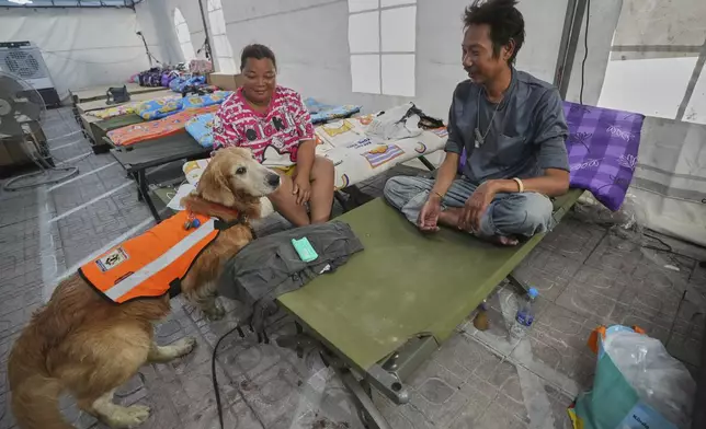 K9 named Safari working as an emotional support with relatives of workers of a high-rise building under construction that collapsed in Bangkok, Thailand, Monday, March 31, 2025. (AP Photo/Sakchai Lalit)