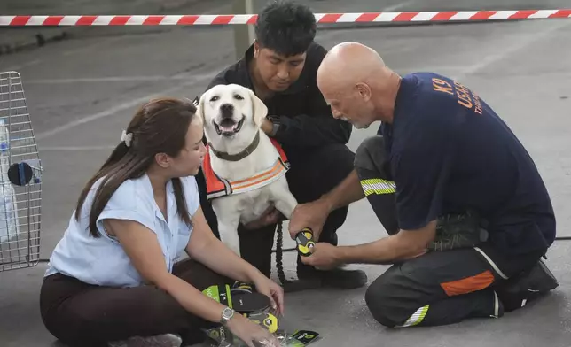 Members of a K9 squad help Nuan wear socks to protect her feet at the site of an under-construction high-rise building that collapsed after an earthquake in Bangkok, Thailand, Tuesday, April 1, 2025. (AP Photo/Sakchai Lalit)