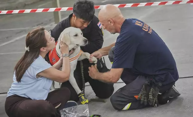 Members of a K9 squad help Nuan wear socks to protect her feet at the site of an under-construction high-rise building that collapsed after an earthquake in Bangkok, Thailand, Tuesday, April 1, 2025. (AP Photo/Sakchai Lalit)
