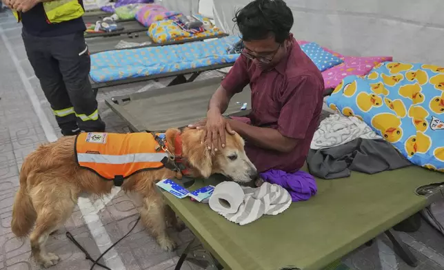 K9 named Safari works as an emotional support with relatives of workers of a high-rise building under construction that collapsed in Bangkok, Thailand, Monday, March 31, 2025. (AP Photo/Sakchai Lalit)
