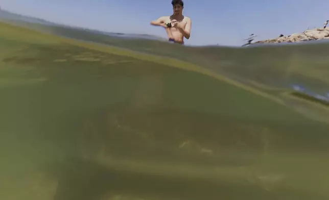 A man records video of a shark swimming in Mediterranean Sea in Hadera, Israel, Saturday, April 19, 2025. (AP Photo/Ariel Schalit)