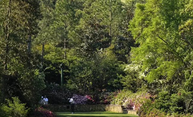 Scottie Scheffler hits his tee shot on the 13th hole during a practice around at the Masters golf tournament, Wednesday, April 9, 2025, in Augusta, Ga. (AP Photo/Julia Demaree Nikhinson)
