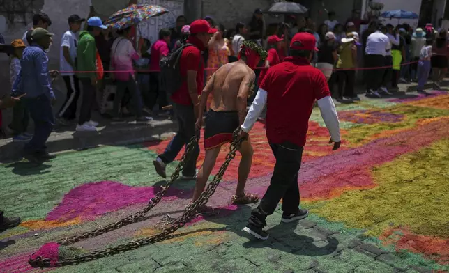 A masked penitent with cacti attached to his arms, drags a chain in a Holy Week procession in Atlixco, Mexico, on Good Friday, April 18, 2025. (AP Photo/Eduardo Verdugo)