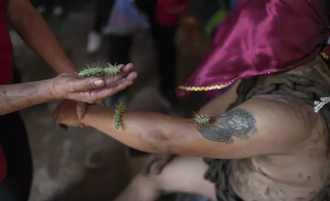 A masked penitent in chains holds out his arms to have cacti attached to his arm, before taking part in a Holy Week procession in Atlixco, Mexico, on Good Friday, April 18, 2025. (AP Photo/Eduardo Verdugo)