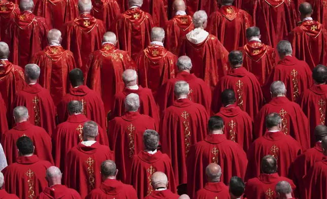 Clergy attend the funeral of Pope Francis in St. Peter's Square at the Vatican, Saturday, April 26, 2025. (AP Photo/Evan Vucci)