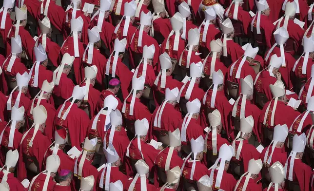 Clergy during the funeral of Pope Francis in St. Peter's Square at the Vatican, Saturday, April 26, 2025. (AP Photo/Markus Schreiber)