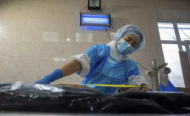 A forensic worker in Kyiv, Ukraine, examines the body of a prisoner of war repatriated by Russia, June 24, 2024. (AP Photo/Alex Babenko)